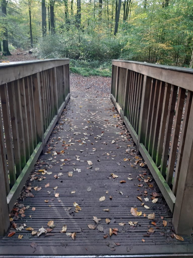 Perspektivwechsel Brücke 1